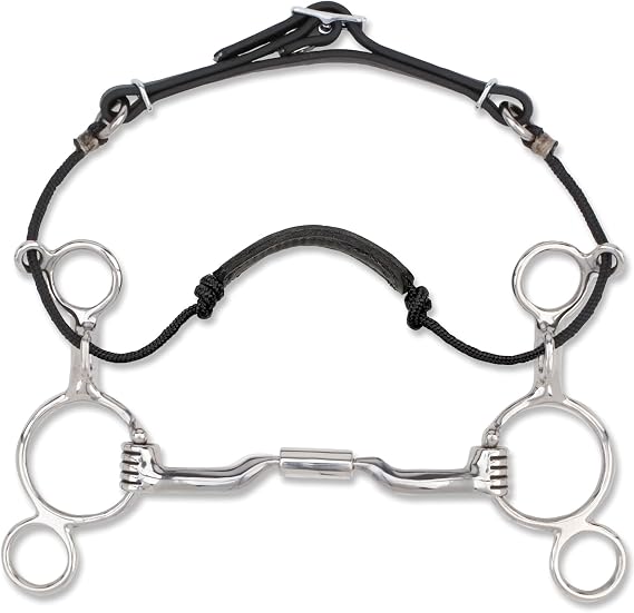 Myler 04 Two Ring Combination Bit