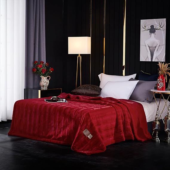 LGYKUMEG 9lbs Heavy Mink Blanket,Korean Faux Mink Fleece Blanket 80"x90",Warm Winter Fleece Plush Blanket, Silky Soft and Warm, 2 Ply Reversible Raschel Bed Blanket,Red,200x230cm4kg
