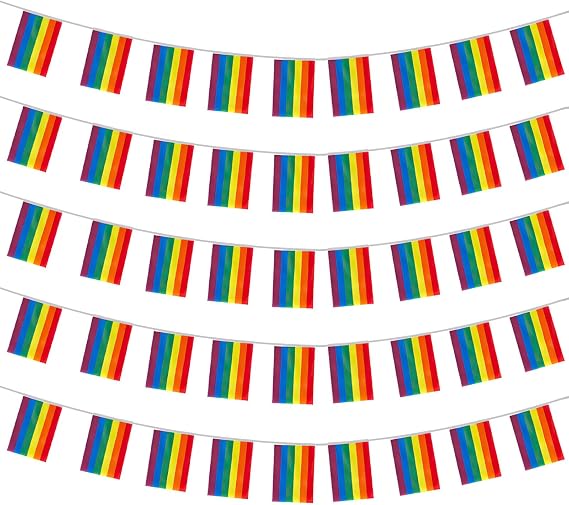 38 Pcs Pride Bunting, Pride Flag Bunting, Gay LGBT Flag, 38 Pennant Rectangle Flags