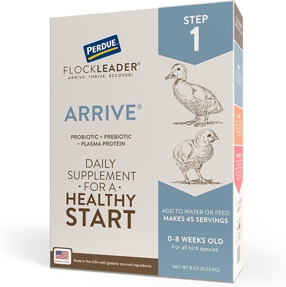 FlockLeader Arrive, Daily Poultry Supplement for Baby Chicks 0-8 Weeks, 8oz