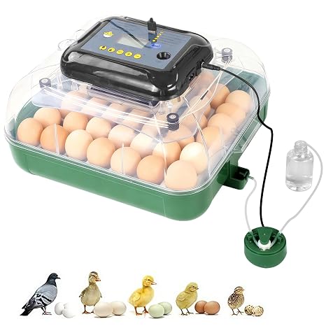 24 Egg Incubator for Hatching Eggs, 360 View Poultry Incubator, Automatic Egg Turning, Temperature & Humidity Display, Auto Water Refilling System, Egg Candler, Multifunctional Egg Tray for Chicken