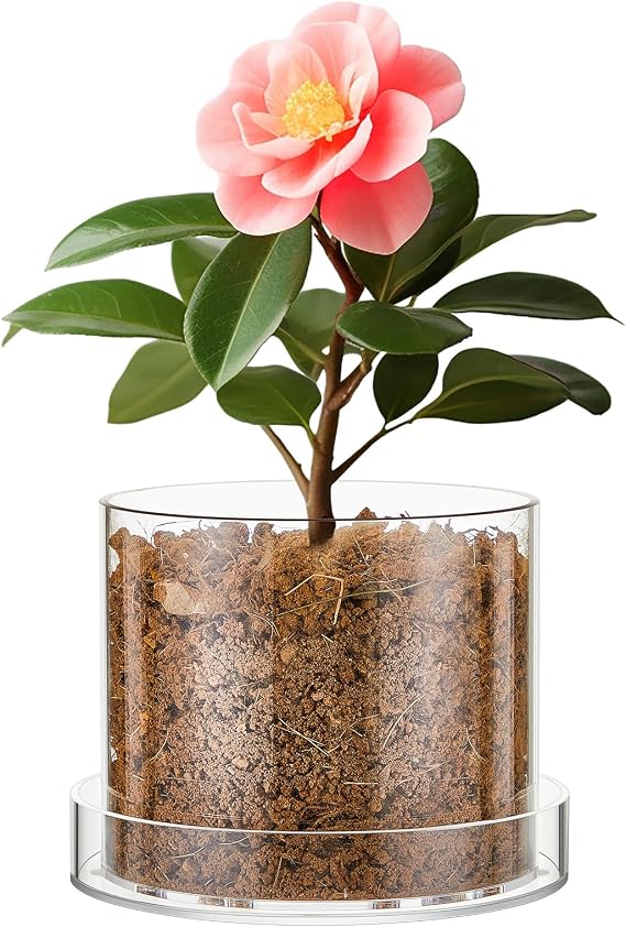 Clear Plant Nursery Pots Acrylic Orchid Pots with Drainage Holes and Tray Transparent Planter for Indoor Plants, Succulents, Herb, Flowers and Cactus Decorative(6 Inches,Circle)