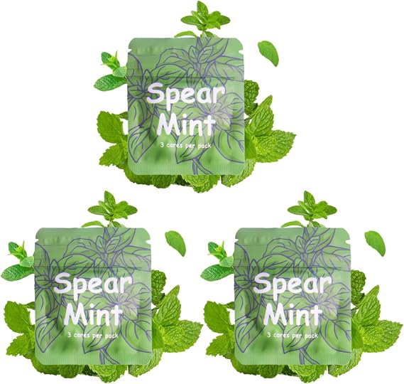 3 Packs of Plant-Based Spearmint Flavor Cores for Breathing Necklace to Break Habits Naturally | 9 Total Cores Fits Standard Necklace Diffusers for Anxiety Relief for Adults