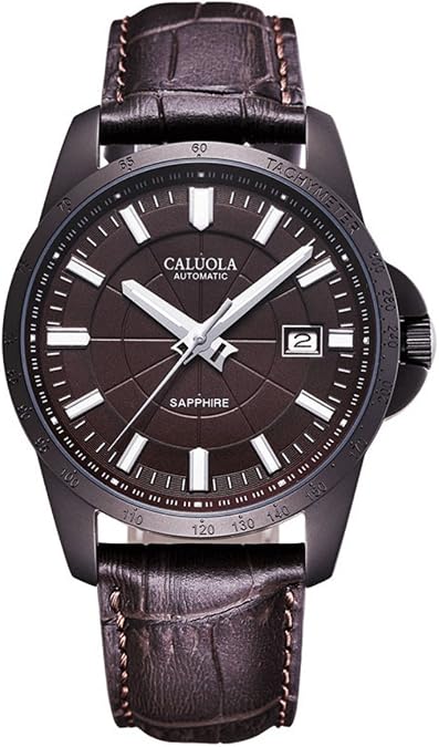 Business Luminous Men Watch Automatic Fashion Date Watch CA1189M