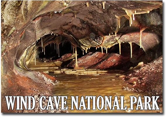 FRIDGE MAGNET Wind Cave National Park South Dakota Fridge Magnet Size 2.5 in x 3.5 in, p0324