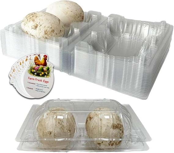 Plastic Goose Egg Cartons Cheap Bulk Empty Clear Large Duck Eggs Tray Holders Box for Farm Reusable Storage Container (20, 12)