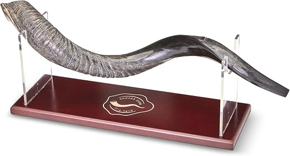 Shofar (Yem-Large)