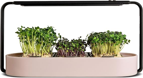 Microgreens Growing Kit - Organic Superfood Sprouting Seed Pads (3) | Auto 4-Stage LED Grow Lights & Hydroponic Watering System | Chic Steel Frame & Ceramic Bowl, Plastic-Free [Rose]