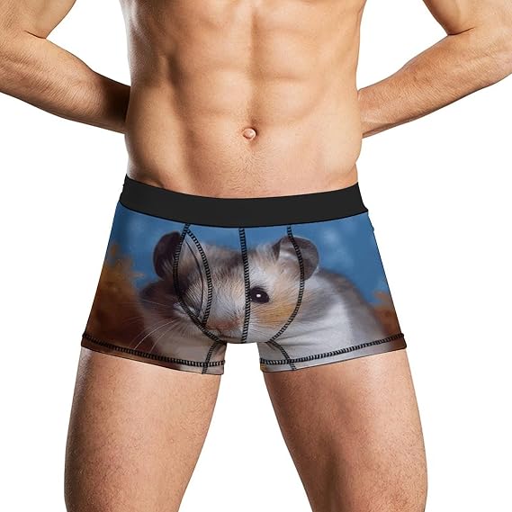 Hamster Mens Boxer Briefs Short Breathable Underwear Trunks Soft Moisture-Wicking Boxer Shorts