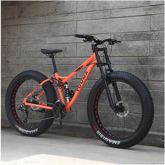 26 Inch Mountain Bikes, Adult Boys Girls Fat Tire Mountain Trail Bike, Dual Disc Brake Bicycle, High-carbon Steel Frame, Anti-Slip,21 Speed