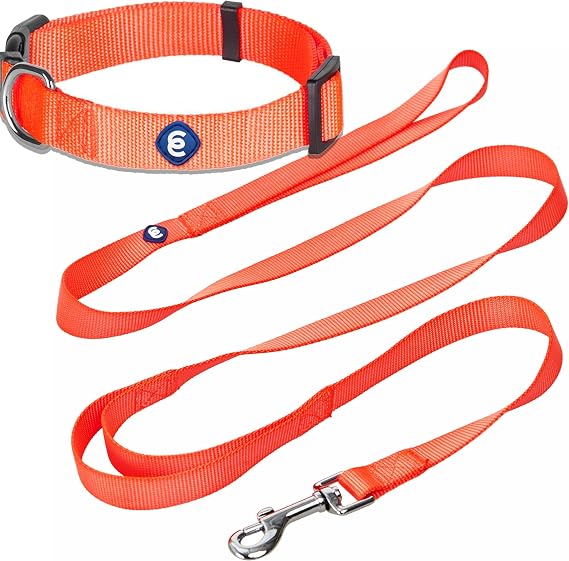 Blueberry Pet Essentials Matching Dog Collar and Double Handle Leash Set in Florence Orange, Adjustable Classic Solid Color Nylon Collar with 4 ft Leash for Large Dogs
