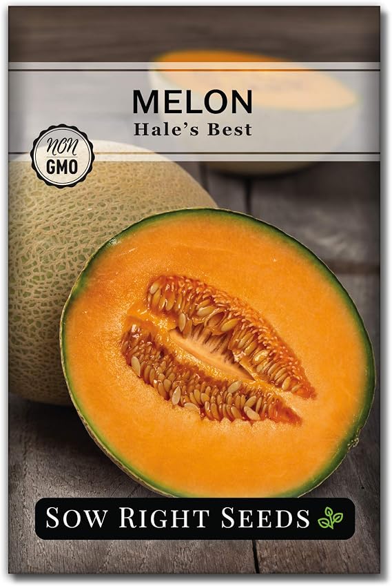 Sow Right Seeds - Hales Best Melon Seeds for Planting - Non-GMO Heirloom Packet with Instructions to Plant a Home Vegetable Garden - Grow Delicious Cantaloupe - Classic Sweet Orange Muskmelons 1