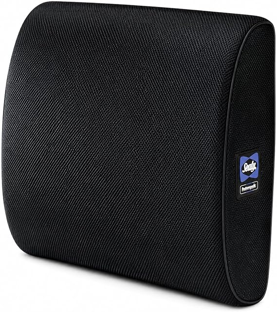 Sealy Lumbar Support Pillow for Office Chair and Car Seat - Lower Back Pain Relief, Memory Foam Lumbar Pillow & Back Brace Support Posture Corrector