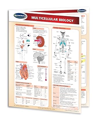 Multicellular Biology Guide - Laminated Biology Quick Reference Guide by Permacharts