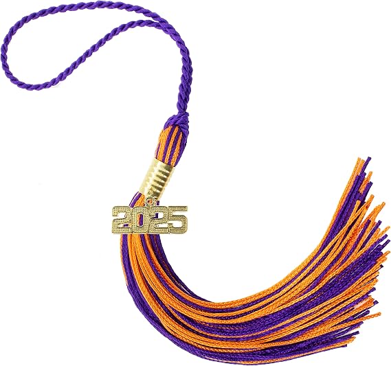 Tassel Depot 2025 Purple/Orange Graduation Tassel - Every School Color Available - Made in USA