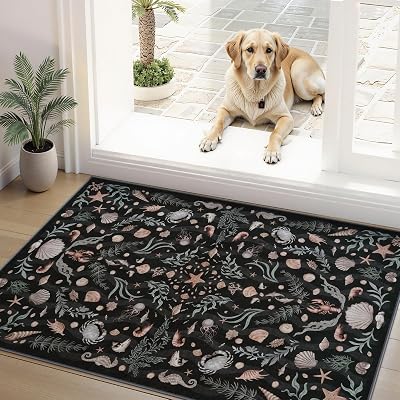 LIVEBOX Vintage Coastal 2x3 Washable Kitchen Christmas Rugs for Entryway Clearance, Black Non-Slip Entrance Rugs, Small Soft Low Pile Farmhouse Bathroom Area Rug, Carpet Throw for Laundry Room2x3ft