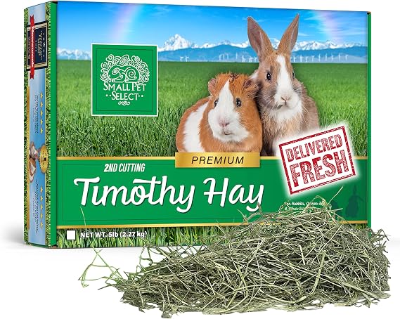 Small Pet Select 2nd Cutting Timothy Hay for Rabbits & Guinea Pigs, 5 lb