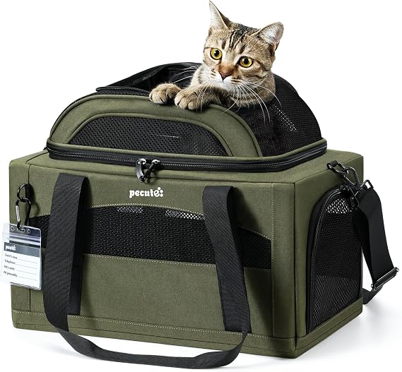 Pecute Expandable Airline Approved Pet Carrier for Cats & Dogs, Olive Green | Fits pets under 11 lbs, Under-seat airline approved, Anti-scratch mesh, Safety leash & locking zippers, Leakproof pee pad
