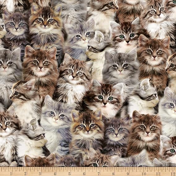 One Of A Kind Kittens Multi, Fabric by the Yard
